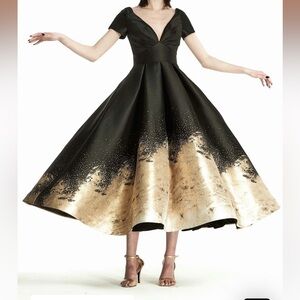 Black and Gold  Gown